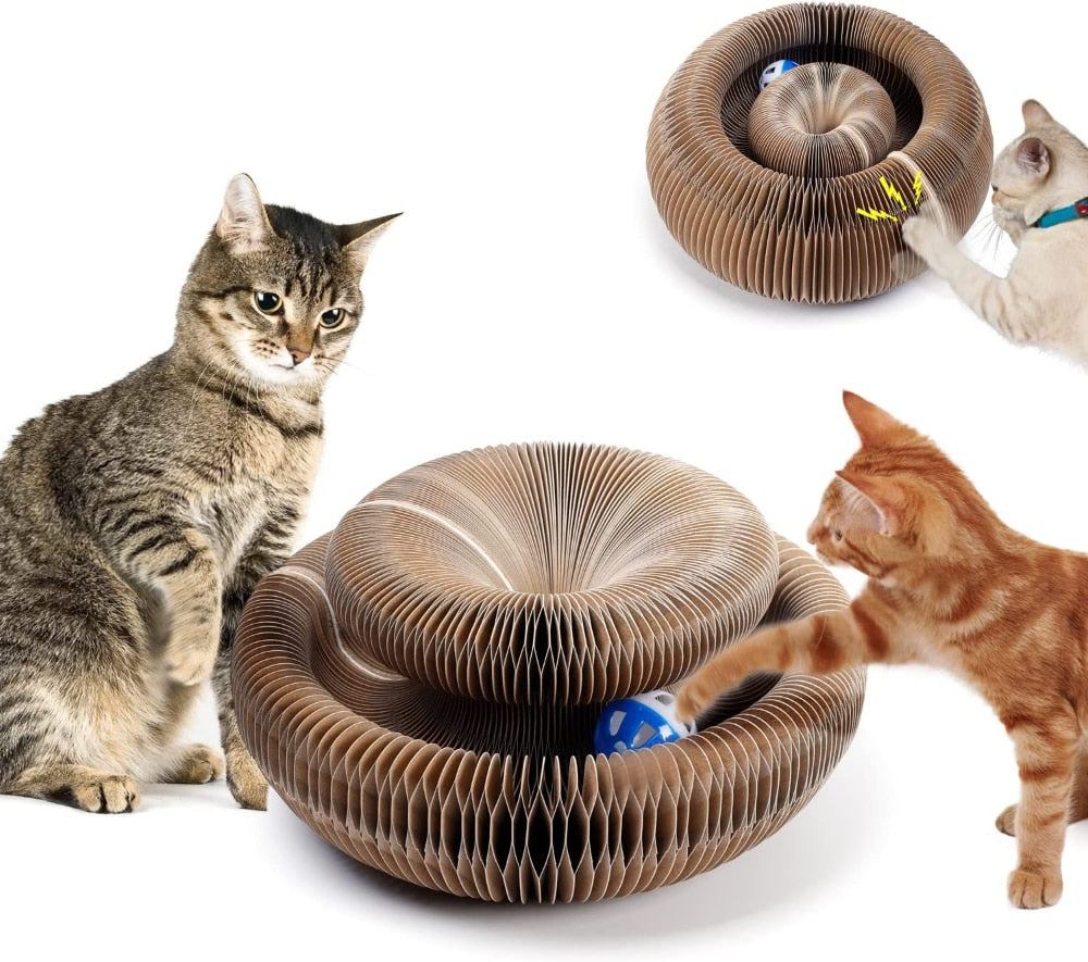 MAGIC ORGAN CAT TOY