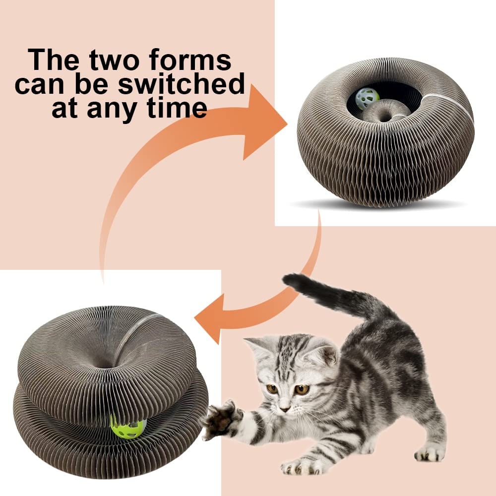 MAGIC ORGAN CAT TOY