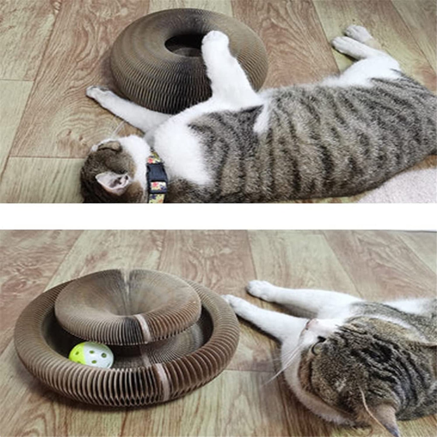 MAGIC ORGAN CAT TOY