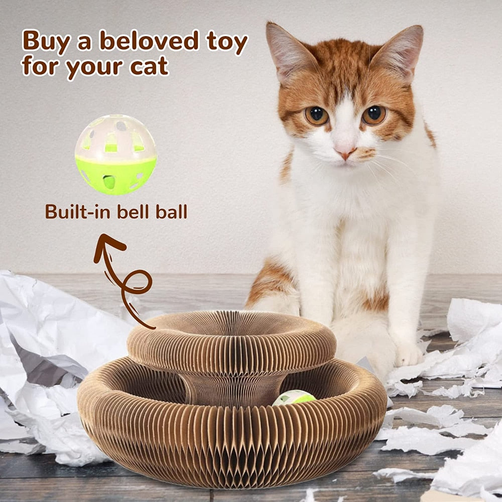 MAGIC ORGAN CAT TOY