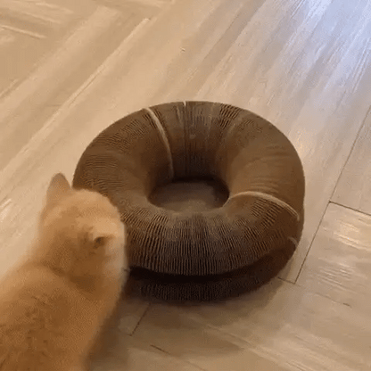 MAGIC ORGAN CAT TOY