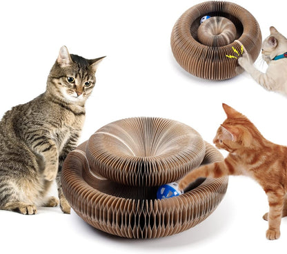 MAGIC ORGAN CAT TOY