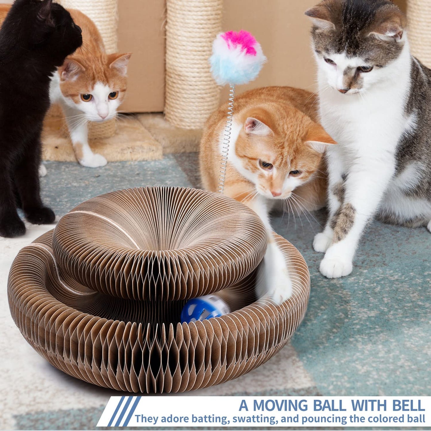 MAGIC ORGAN CAT TOY