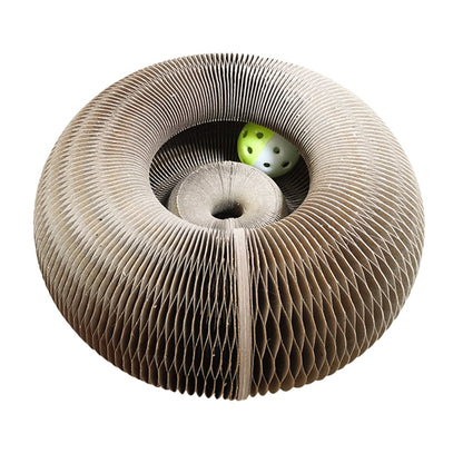 MAGIC ORGAN CAT TOY