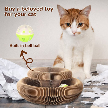 MAGIC ORGAN CAT TOY